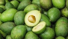Minuman Terbuat Dari Alpukat Segar untuk Berbuka dan Menyegarkan