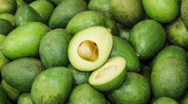 Minuman Terbuat Dari Alpukat Segar untuk Berbuka dan Menyegarkan