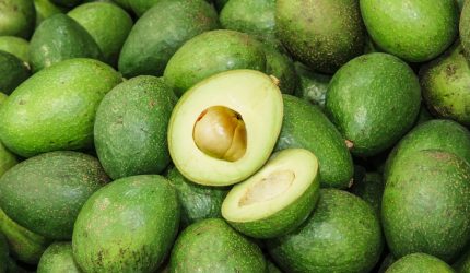 Minuman terbuat dari alpukat segar