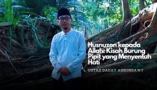 Husnuzon kepada Allah: Kisah Burung Pipit yang Menyentuh Hati - Foto Dok