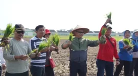 Gerakan Gotong Royong Pemkot Pontianak di 6 Kecamatan