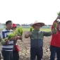 Gerakan Gotong Royong Pemkot Pontianak di 6 Kecamatan