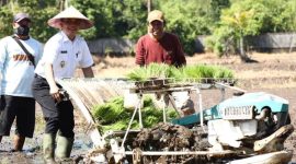 Kalbar Masuk 14 Provinsi Prioritas Program Padi Nasional