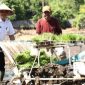 Kalbar Masuk 14 Provinsi Prioritas Program Padi Nasional