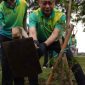 Penanaman Pohon Serentak APEKSI, Taman Surabaya Disulap Jadi Hutan Kota oleh 98 Wali Kota