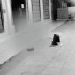 Detik-detik Penemuan Jasad Rafa di Masjid Jalan Veteran Singkawang - foto Istimewa