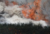 BNPB Kerahkan Helikopter ke Kalbar untuk Water Bombing - foto ilustrasi