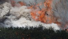 BNPB Kerahkan Helikopter ke Kalbar untuk Water Bombing - foto ilustrasi