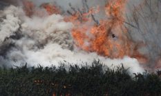 BNPB Kerahkan Helikopter ke Kalbar untuk Water Bombing
