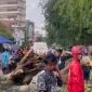 Sejumlah saksi mata menuturkan, pohon berukuran besar tiba-tiba ambruk melintang di tengah jalan. Beberapa pengendara yang berada tepat di dekatnya bergegas menghindar. - foto Istimewa