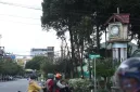 Pemangkasan pohon di sekitar area tugu sudah dimulai untuk membuka pandangan dan mempercantik kawasan. - foto Prokopim Pontianak