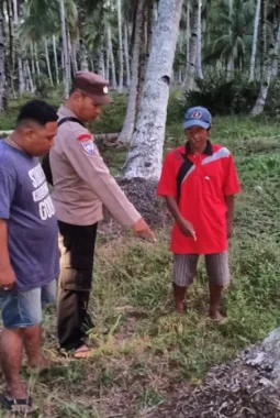 Warga Desa Padang Tikar Geger, Bayi Laki-Laki Dibuang di Kebun Kelapa Masih Hidup