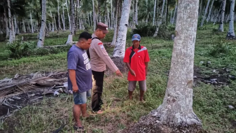 Warga Desa Padang Tikar, Kecamatan Batu Ampar, Kabupaten Kubu Raya, digemparkan oleh penemuan seorang bayi laki-laki yang masih hidup di area perkebunan kelapa, Rabu (1/10/2025) sore. - foto TBNews Polres Kubu Raya