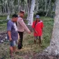 Warga Desa Padang Tikar, Kecamatan Batu Ampar, Kabupaten Kubu Raya, digemparkan oleh penemuan seorang bayi laki-laki yang masih hidup di area perkebunan kelapa, Rabu (1/10/2025) sore. - foto TBNews Polres Kubu Raya