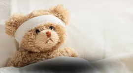 Dugaan Keracunan Menu MBG di SD Kapuas Hulu, Pemda Evaluasi Program dan Tunggu Hasil BBPOM